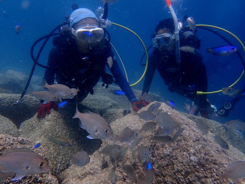 お魚間近で。体験ダイビング