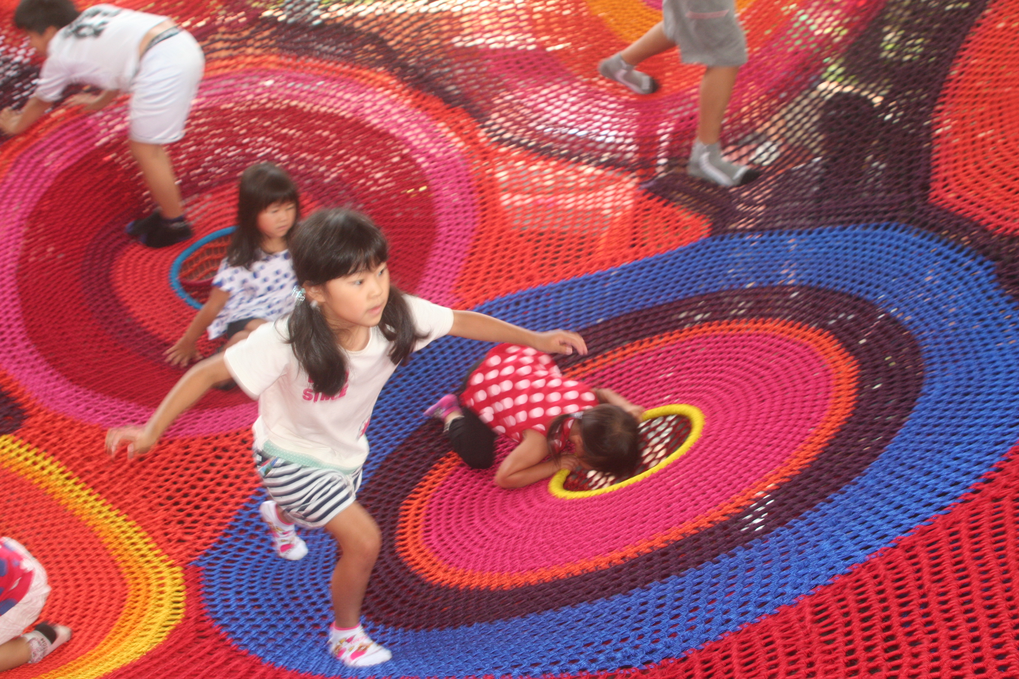 日本に２つしかない「クモの巣ネット」をリニューアル！