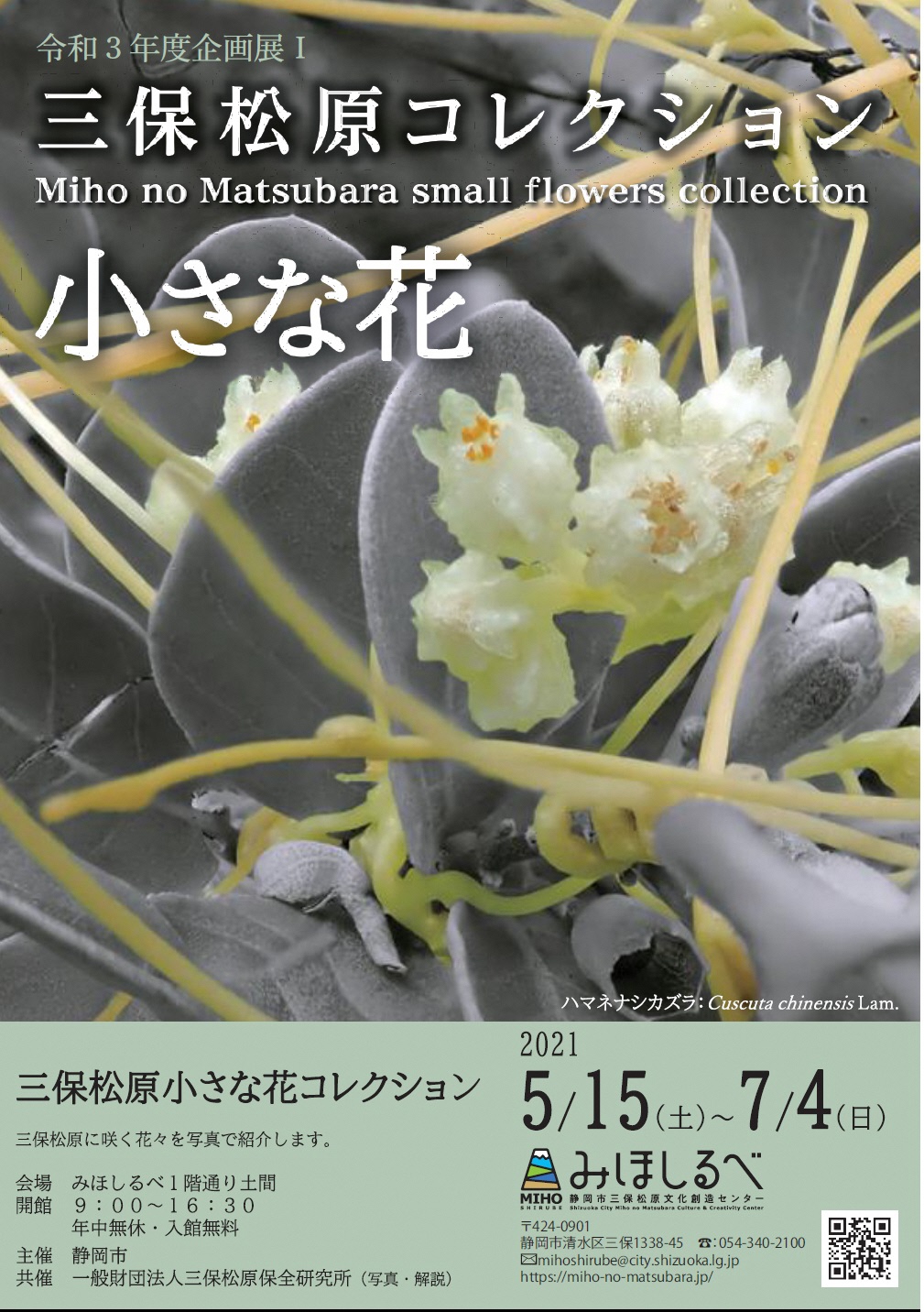 企画展「三保松原小さな花コレクション」チラシ表